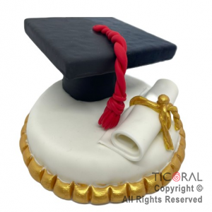 ADORNO TORTA FALSA SOMBRERO EGRESADOS PORCELANA FRIA G x 1